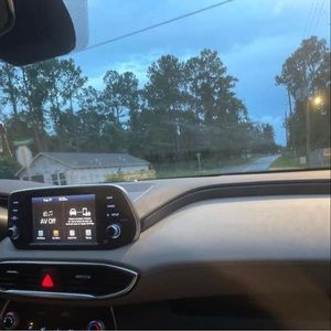 Meet your Posher, Lily